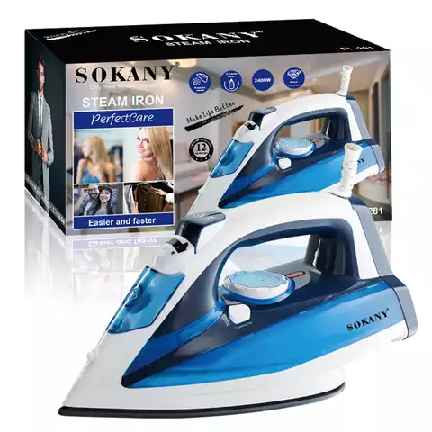 Home Electric Steam Iron