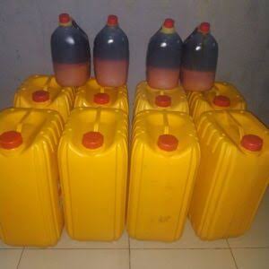 Palm Oil (25 litres)